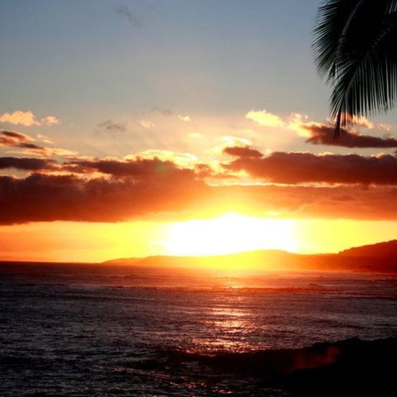 Meet your Posher, Erin - Picture 1 of 1